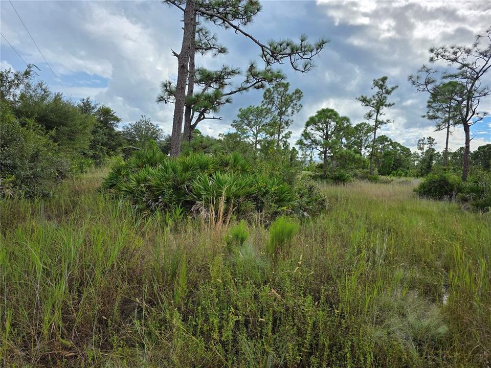 En Venta: $105,000 (1.25 acres)