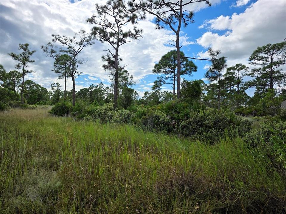 En Venta: $105,000 (1.25 acres)