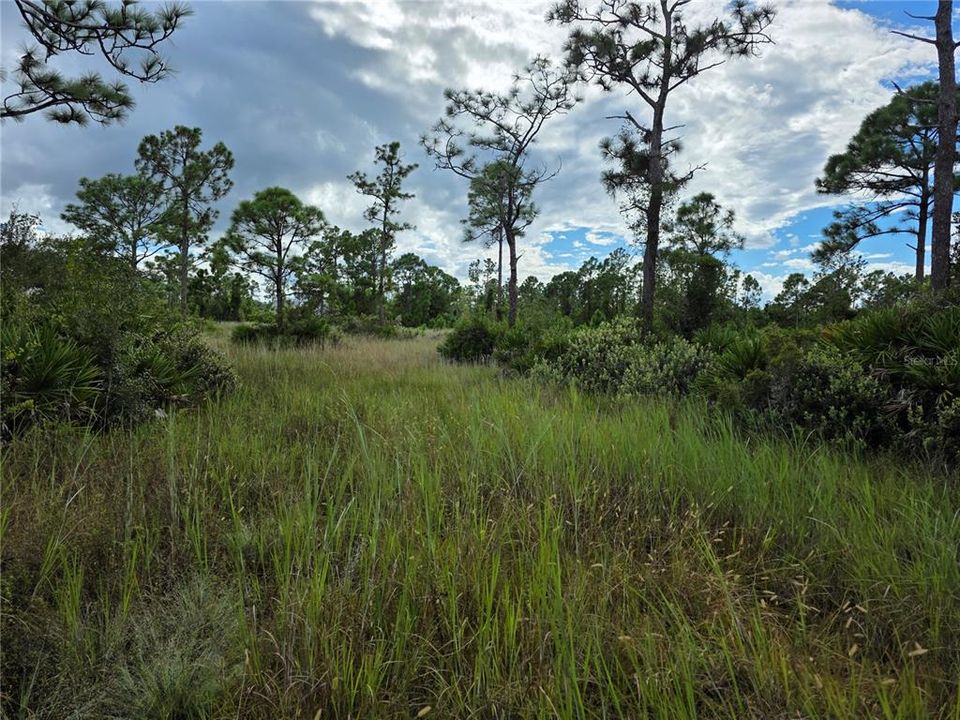 En Venta: $105,000 (1.25 acres)