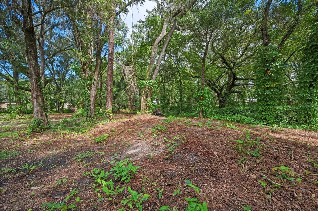 For Sale: $259,000 (4 beds, 2 baths, 1620 Square Feet)