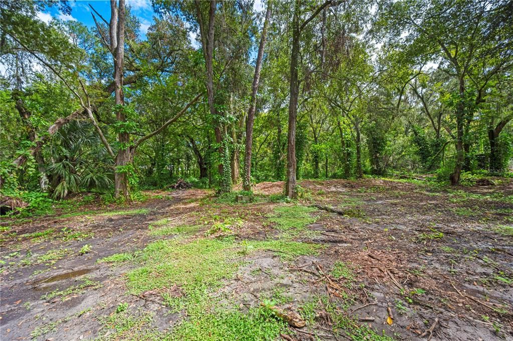 For Sale: $259,000 (4 beds, 2 baths, 1620 Square Feet)