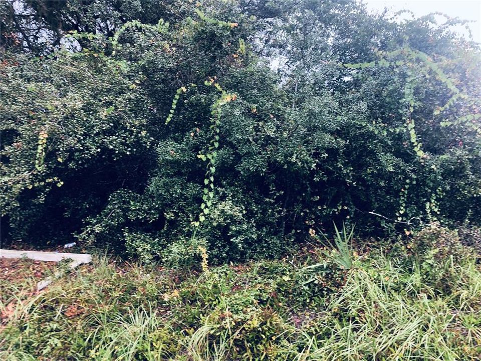 For Sale: $59,900 (0.17 acres)