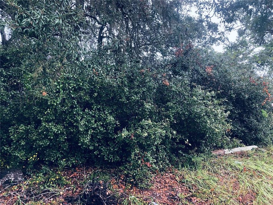 For Sale: $59,900 (0.17 acres)