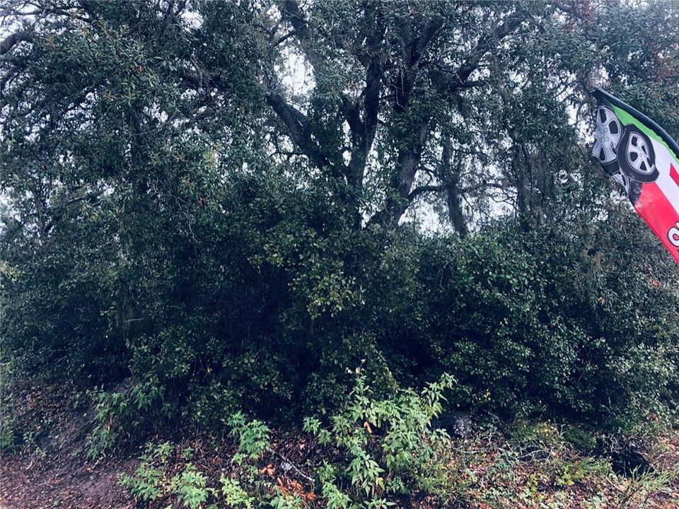 For Sale: $59,900 (0.17 acres)