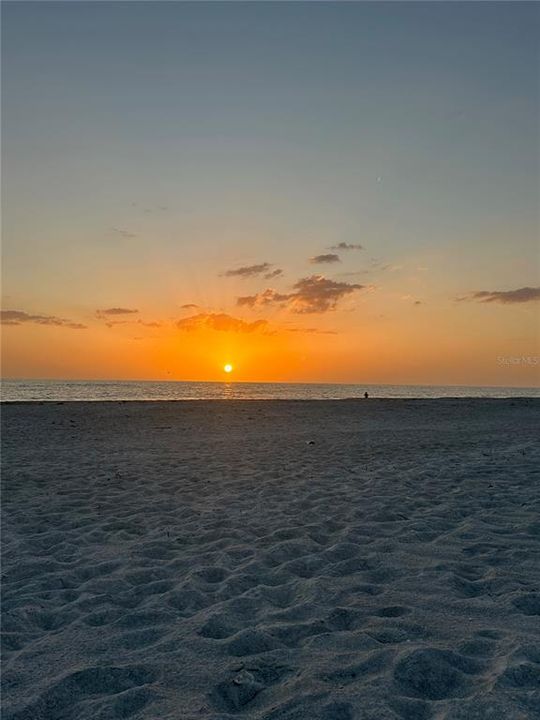 出租: $10,000 (3 贝兹, 3 浴室, 1744 平方英尺)