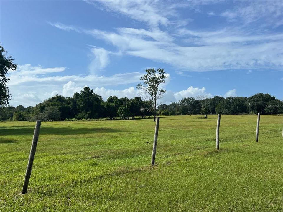 Active With Contract: $189,900 (7.32 acres)