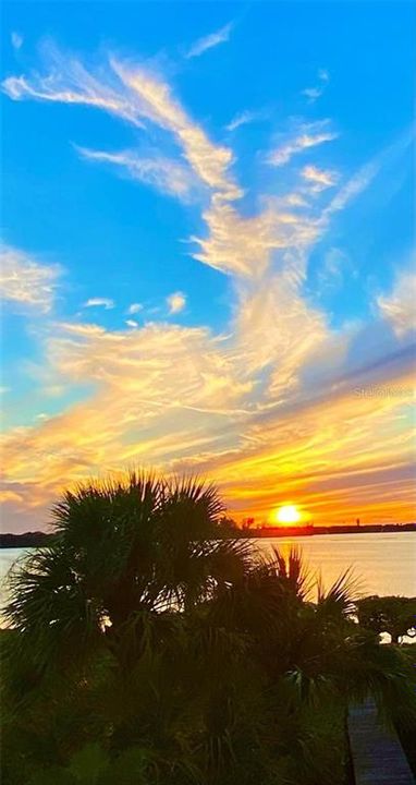 待售: $365,000 (0.31 acres)