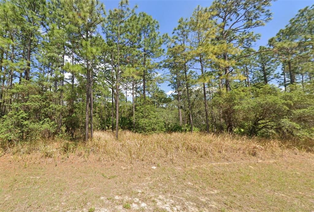 Vendido Recientemente: $59,500 (0.99 acres)