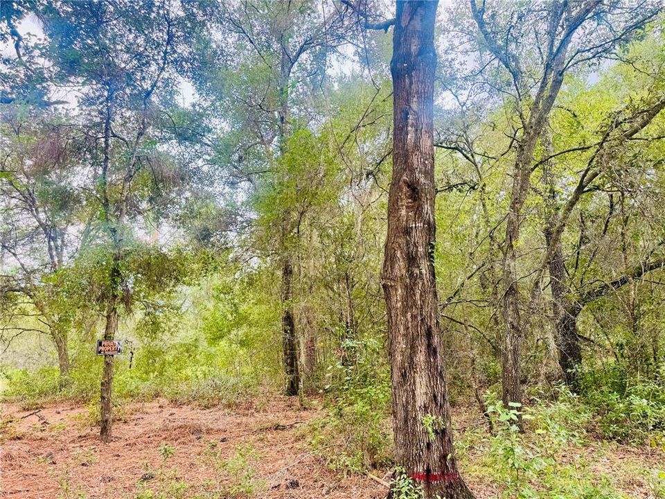 For Sale: $17,500 (0.23 acres)