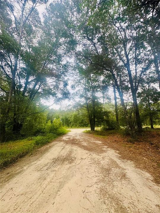 For Sale: $17,500 (0.23 acres)