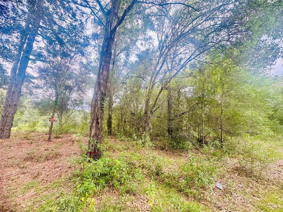 For Sale: $17,500 (0.23 acres)