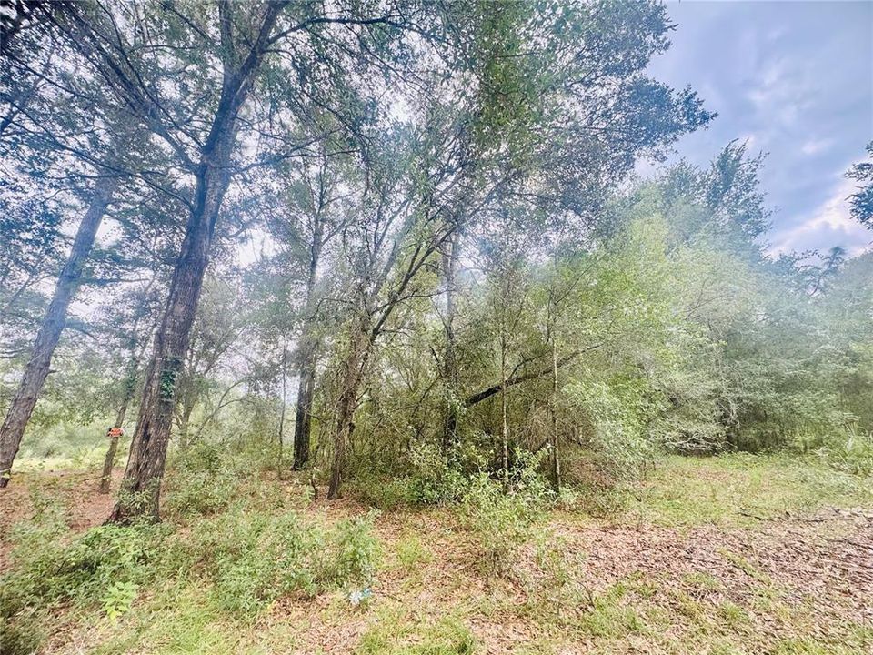 For Sale: $17,500 (0.23 acres)