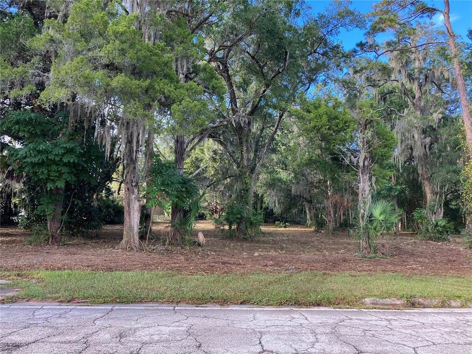 待售: $1,299,000 (3.38 acres)