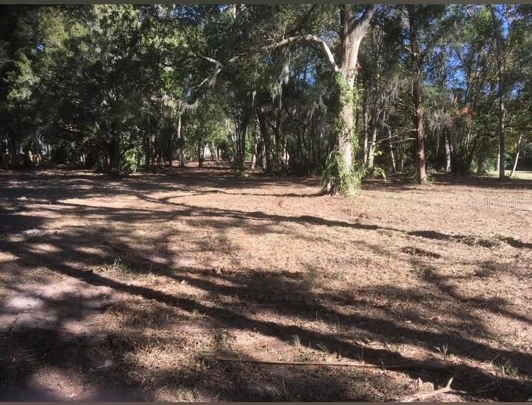 待售: $1,299,000 (3.38 acres)