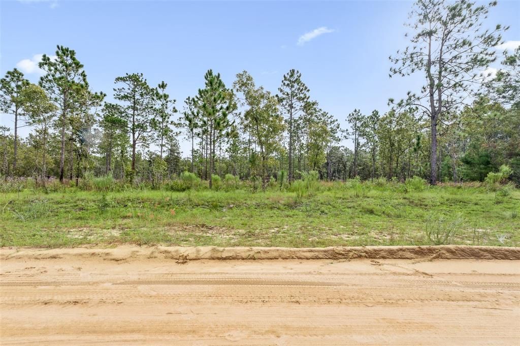 For Sale: $160,000 (5.00 acres)