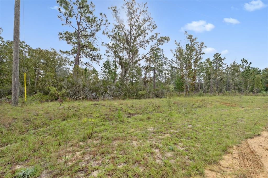 For Sale: $160,000 (5.00 acres)