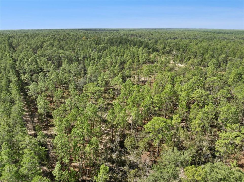 For Sale: $160,000 (5.00 acres)