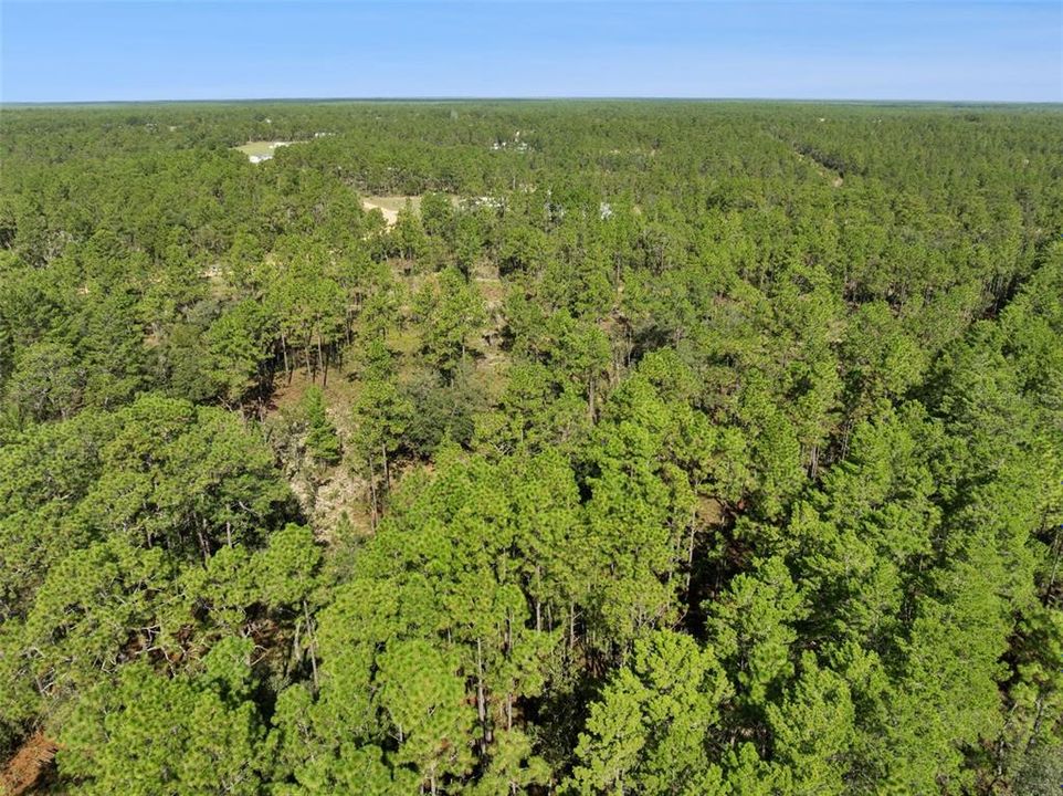 For Sale: $160,000 (5.00 acres)