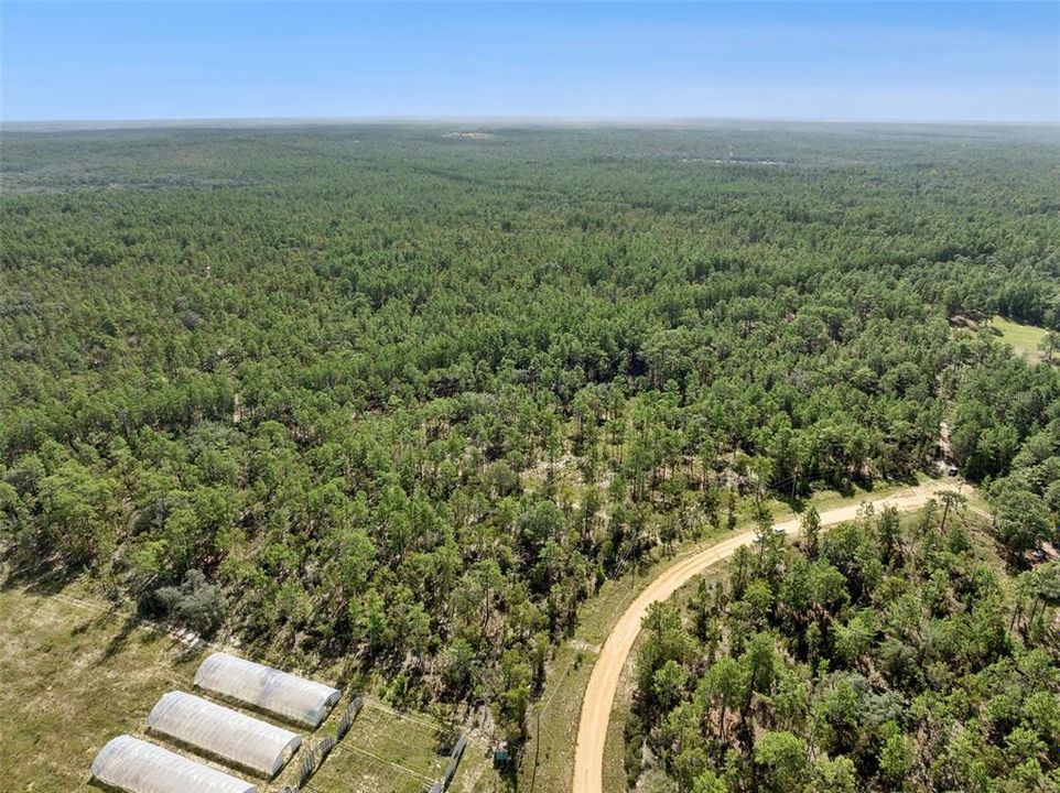 For Sale: $160,000 (5.00 acres)