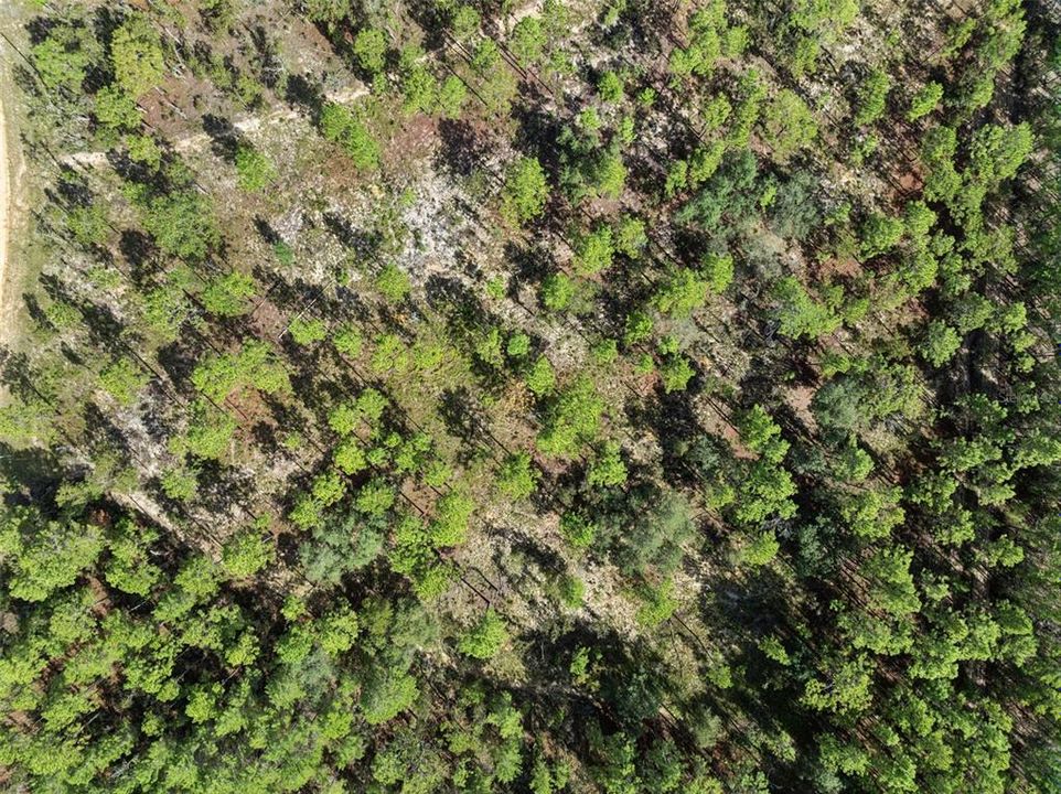 For Sale: $160,000 (5.00 acres)