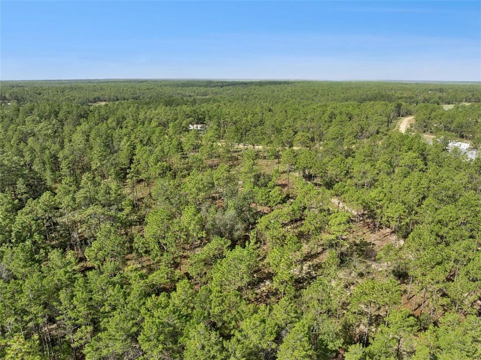 For Sale: $160,000 (5.00 acres)