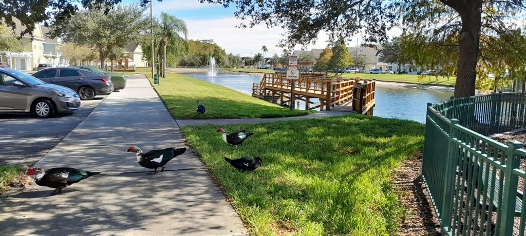 На продажу: $245,000 (4 спален, 3 ванн, 1470 Квадратных фут)