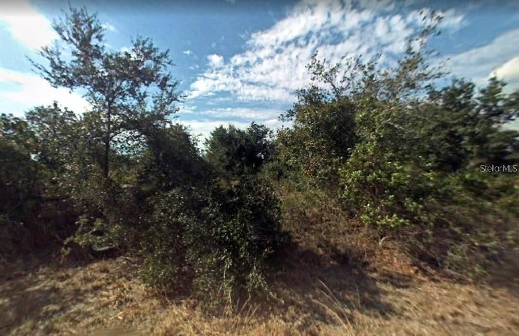 待售: $22,000 (0.23 acres)