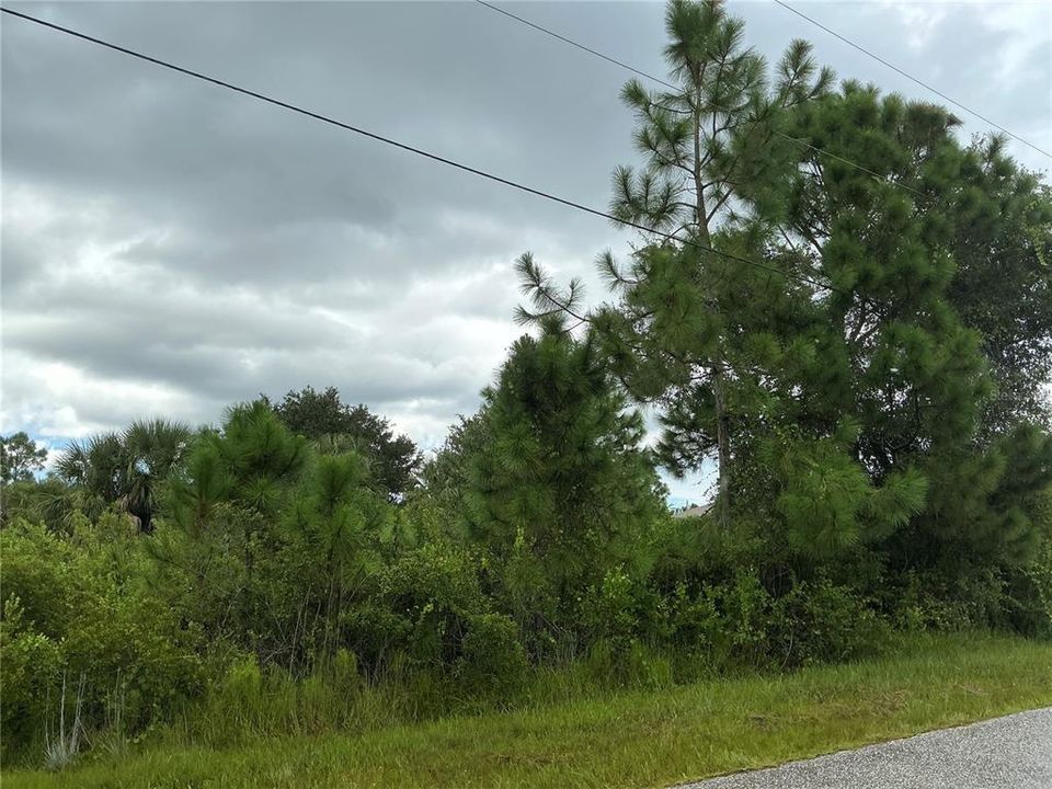 For Sale: $15,000 (0.30 acres)