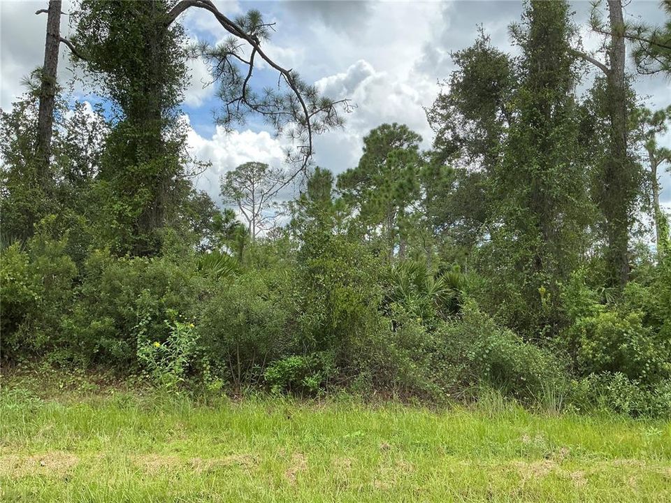 Recently Sold: $10,000 (0.23 acres)