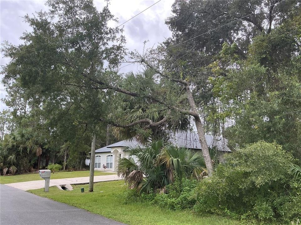 En Venta: $68,000 (0.25 acres)