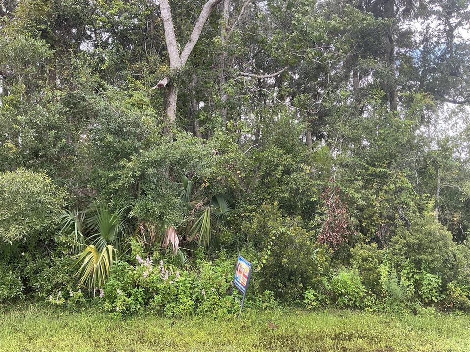 En Venta: $68,000 (0.25 acres)