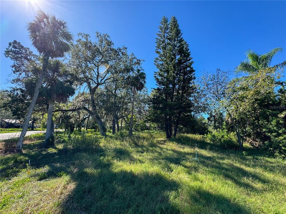 For Sale: $80,000 (0.32 acres)