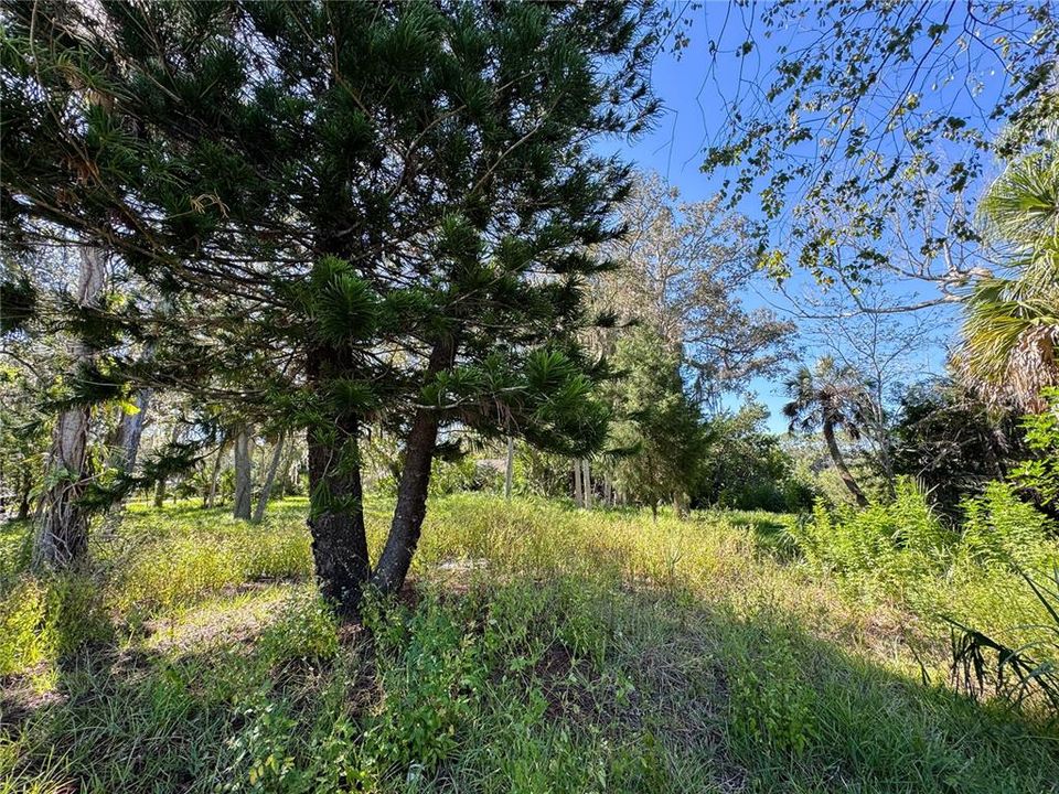 For Sale: $80,000 (0.32 acres)