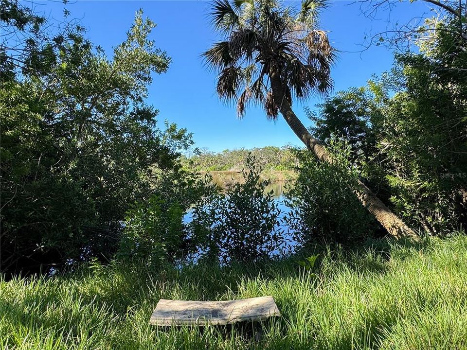 For Sale: $80,000 (0.32 acres)