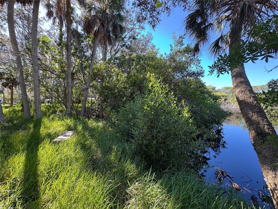 For Sale: $80,000 (0.32 acres)