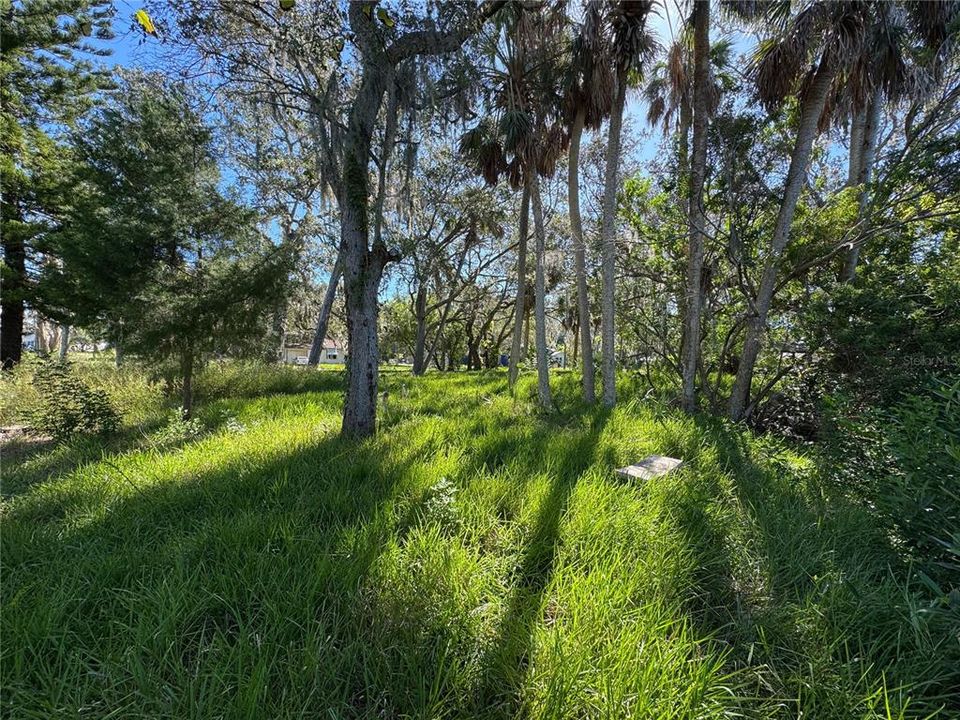 For Sale: $80,000 (0.32 acres)