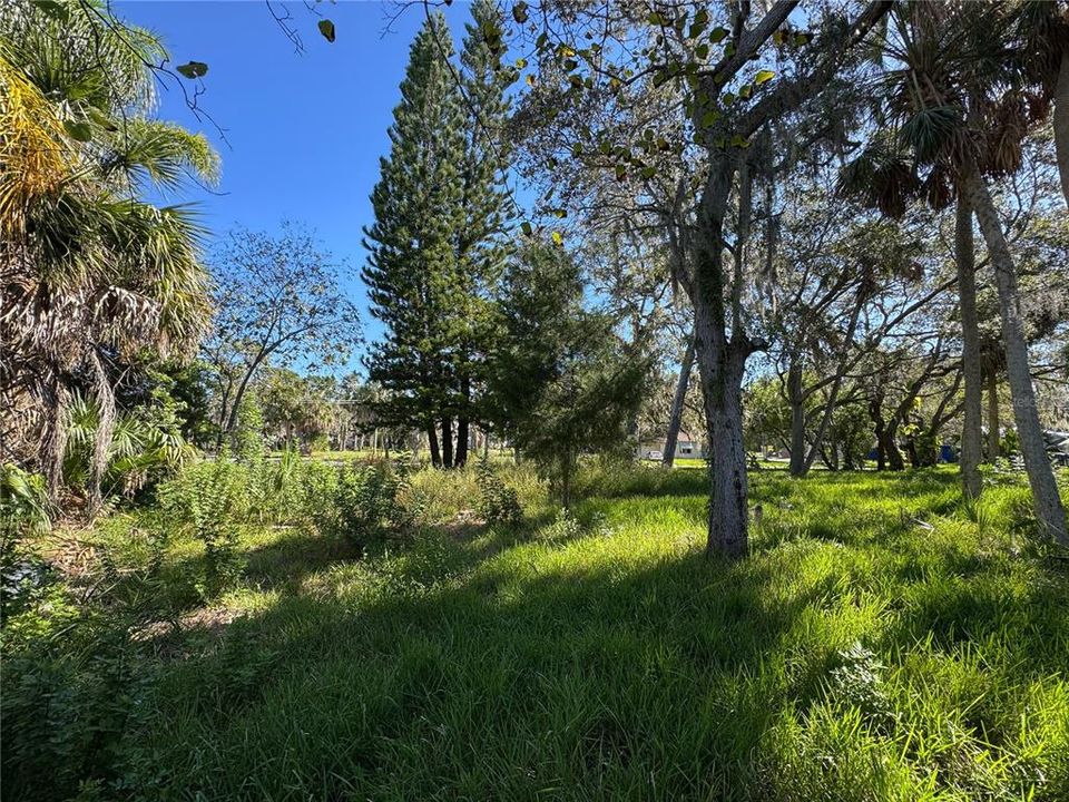 For Sale: $80,000 (0.32 acres)