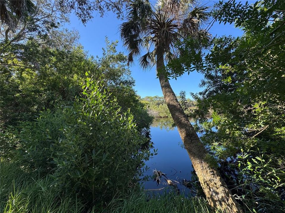 For Sale: $80,000 (0.32 acres)