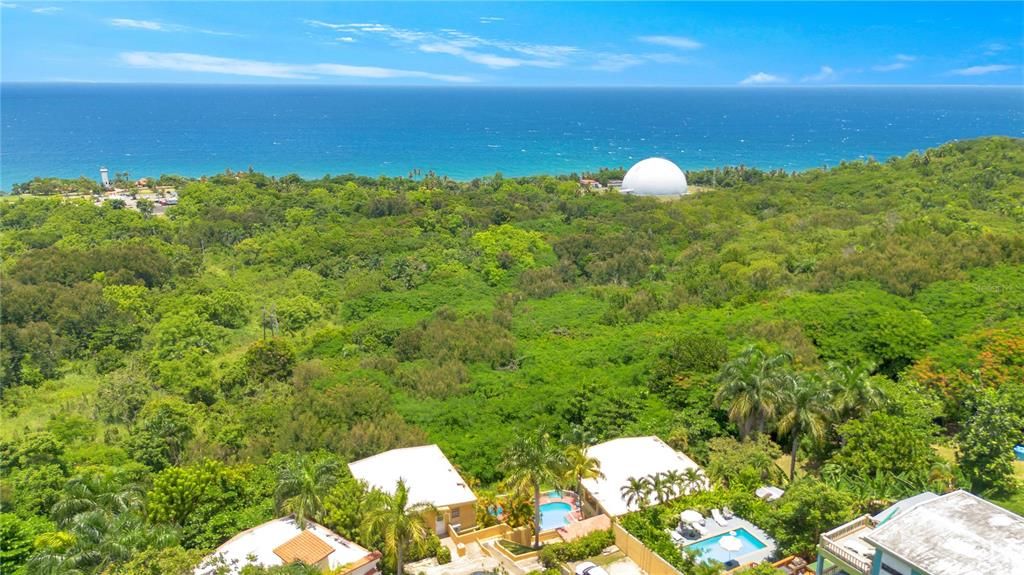 For Rent: $1,600 (2 beds, 1 baths, 680 Square Feet)