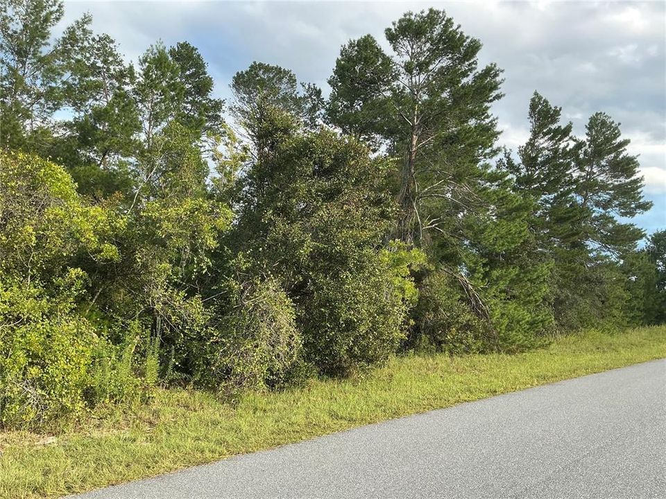 En Venta: $49,000 (0.26 acres)