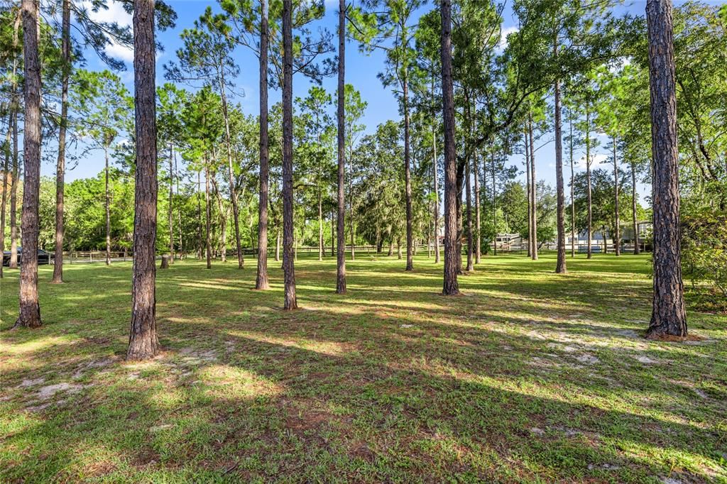 待售: $410,000 (3 贝兹, 2 浴室, 2244 平方英尺)