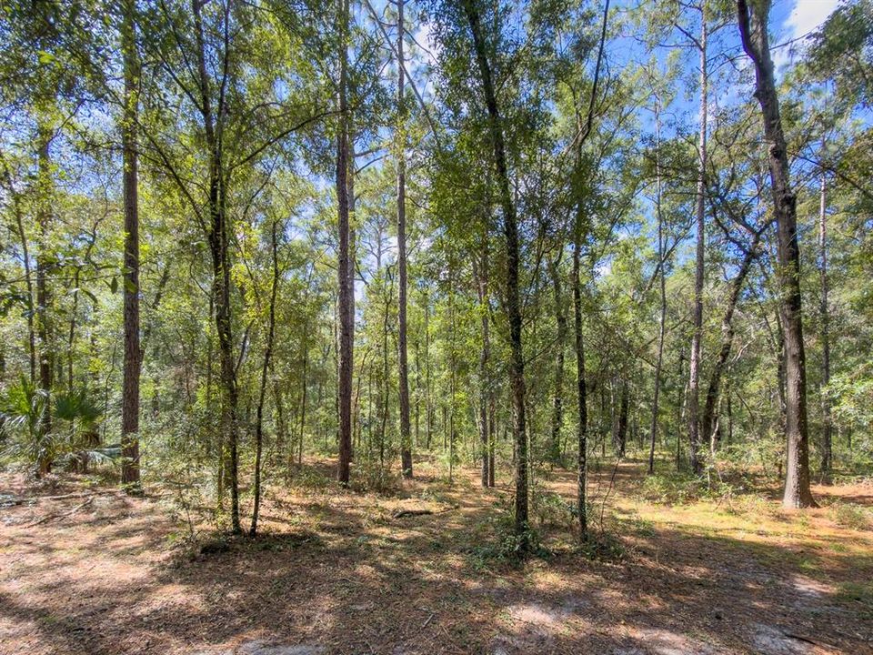 For Sale: $525,900 (3 beds, 2 baths, 1951 Square Feet)