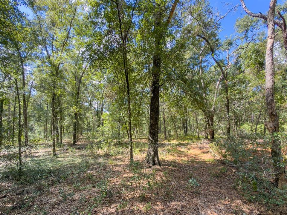 For Sale: $525,900 (3 beds, 2 baths, 1951 Square Feet)