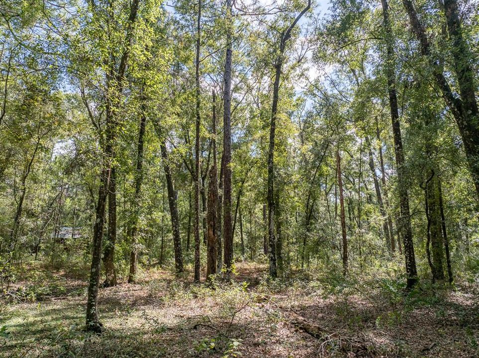 For Sale: $525,900 (3 beds, 2 baths, 1951 Square Feet)