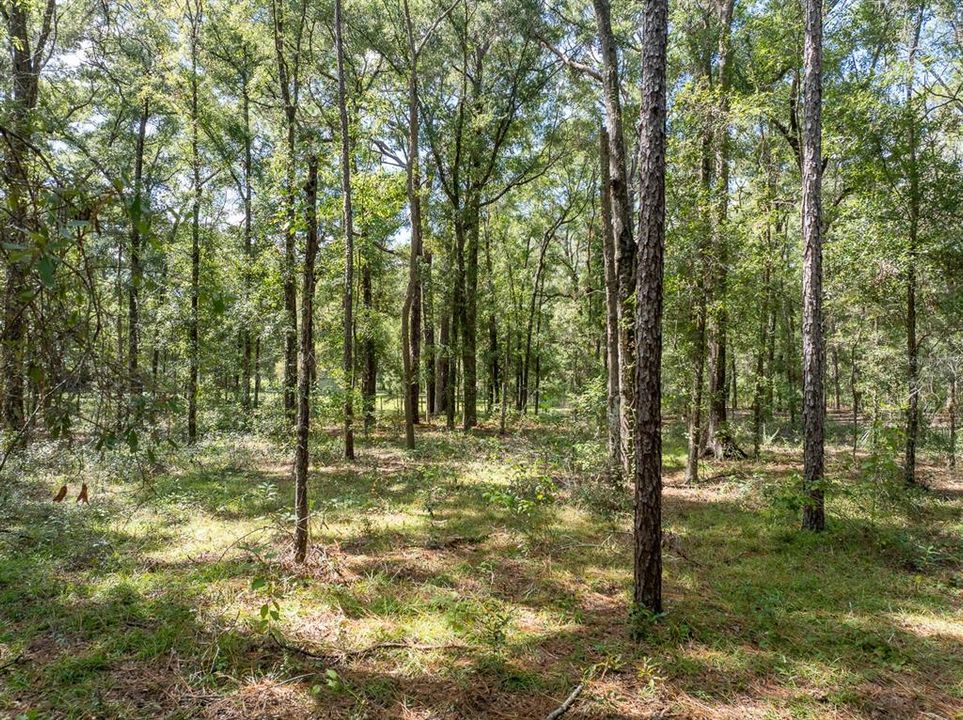 For Sale: $525,900 (3 beds, 2 baths, 1951 Square Feet)