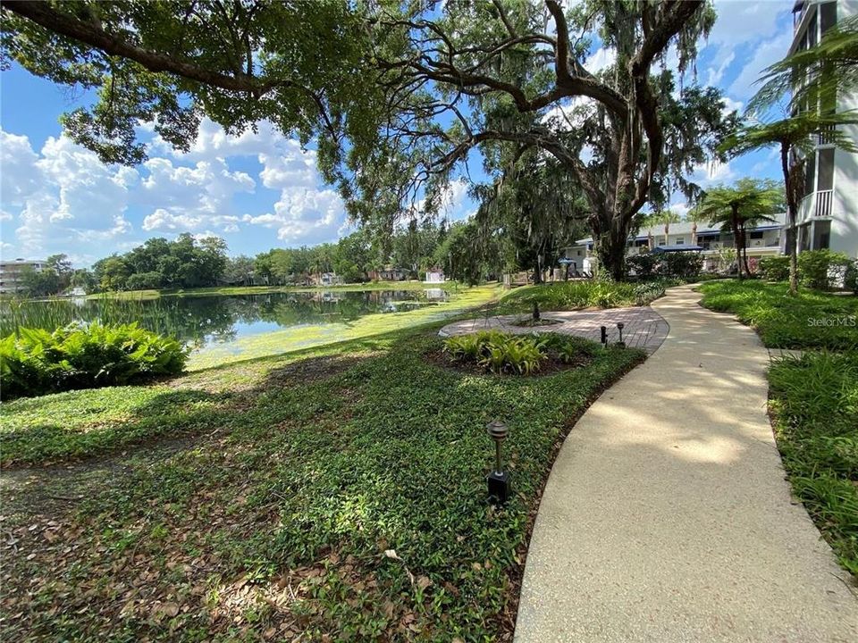 Activo con contrato: $319,000 (2 camas, 1 baños, 998 Pies cuadrados)