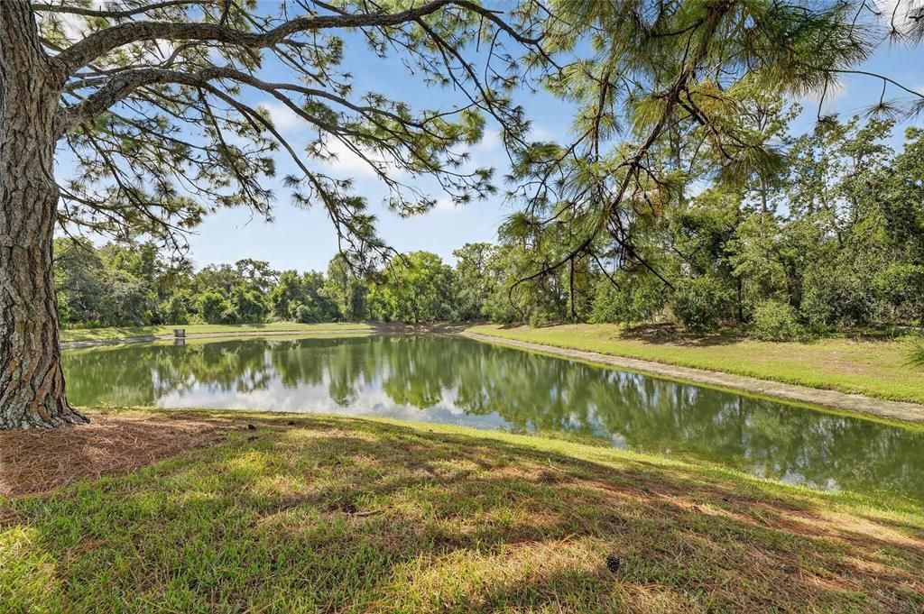 For Sale: $260,000 (2 beds, 2 baths, 1691 Square Feet)