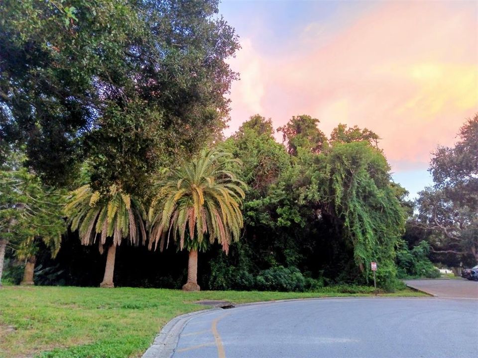 Activo con contrato: $1,850 (2 camas, 2 baños, 1100 Pies cuadrados)