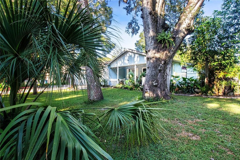 待售: $299,000 (3 贝兹, 2 浴室, 1296 平方英尺)