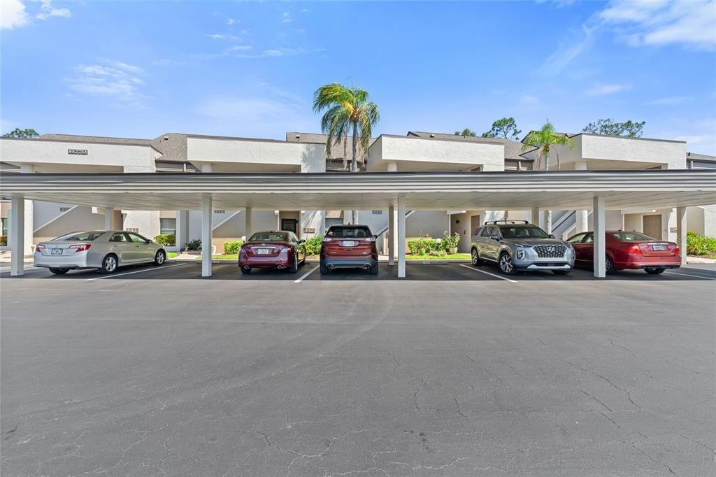 待售: $295,000 (2 贝兹, 2 浴室, 1154 平方英尺)